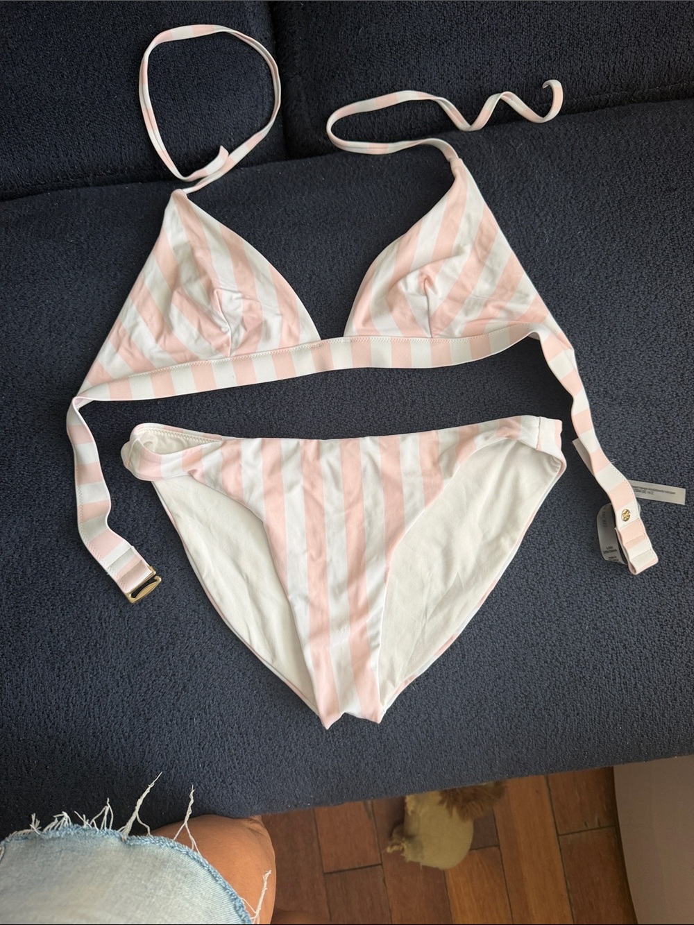 Victoria's Secret Light Pink and White Striped Triangle Bikini Set
